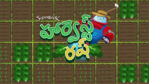 హార్వెస్ట్ రష్