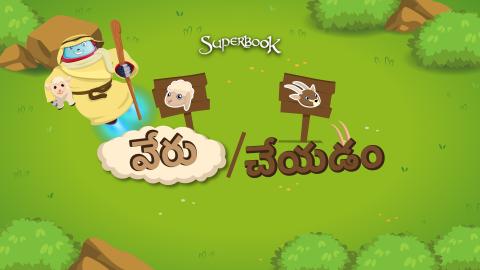 సేప/రేటు