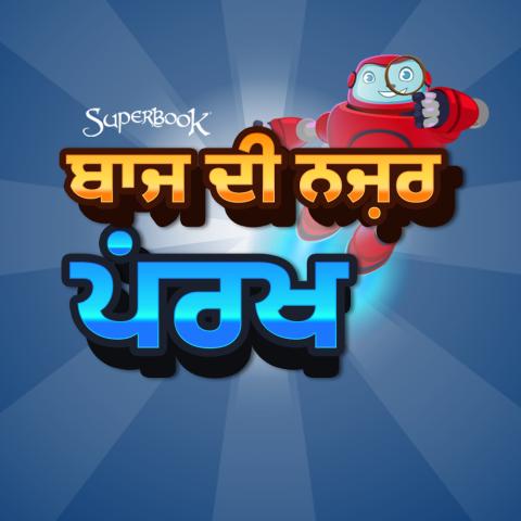 ਬਾਜ ਦੀ ਨਜ਼ਰ ਪਰਖ