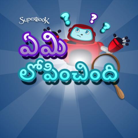  ఏమి లోపించింది